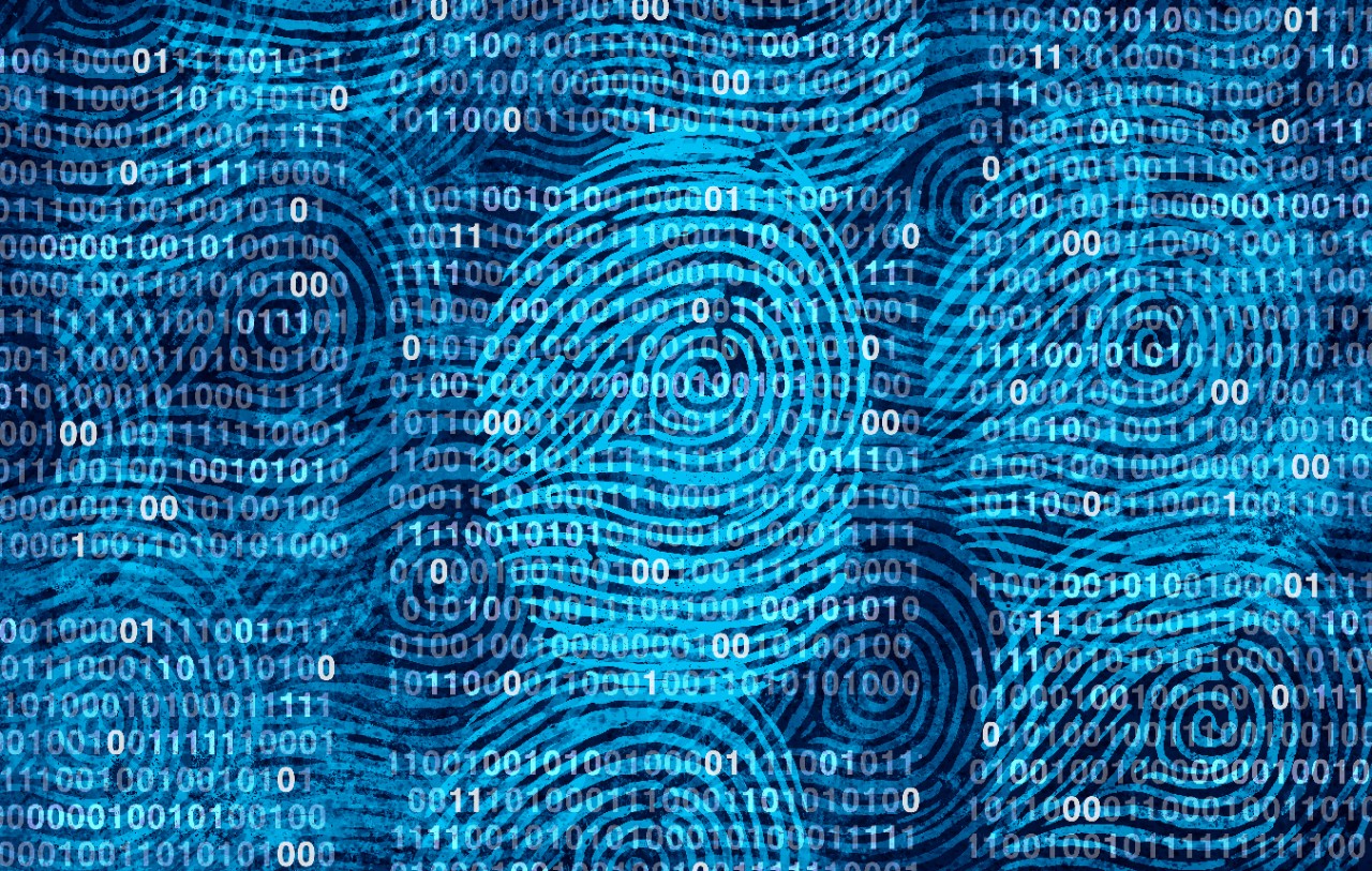 Privacy user data as an abstract personal private information security technology as a social media and public profile sharing of lifestyle as diverse fingerprints in a 3D illustration style.
