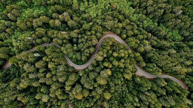 Sustainability