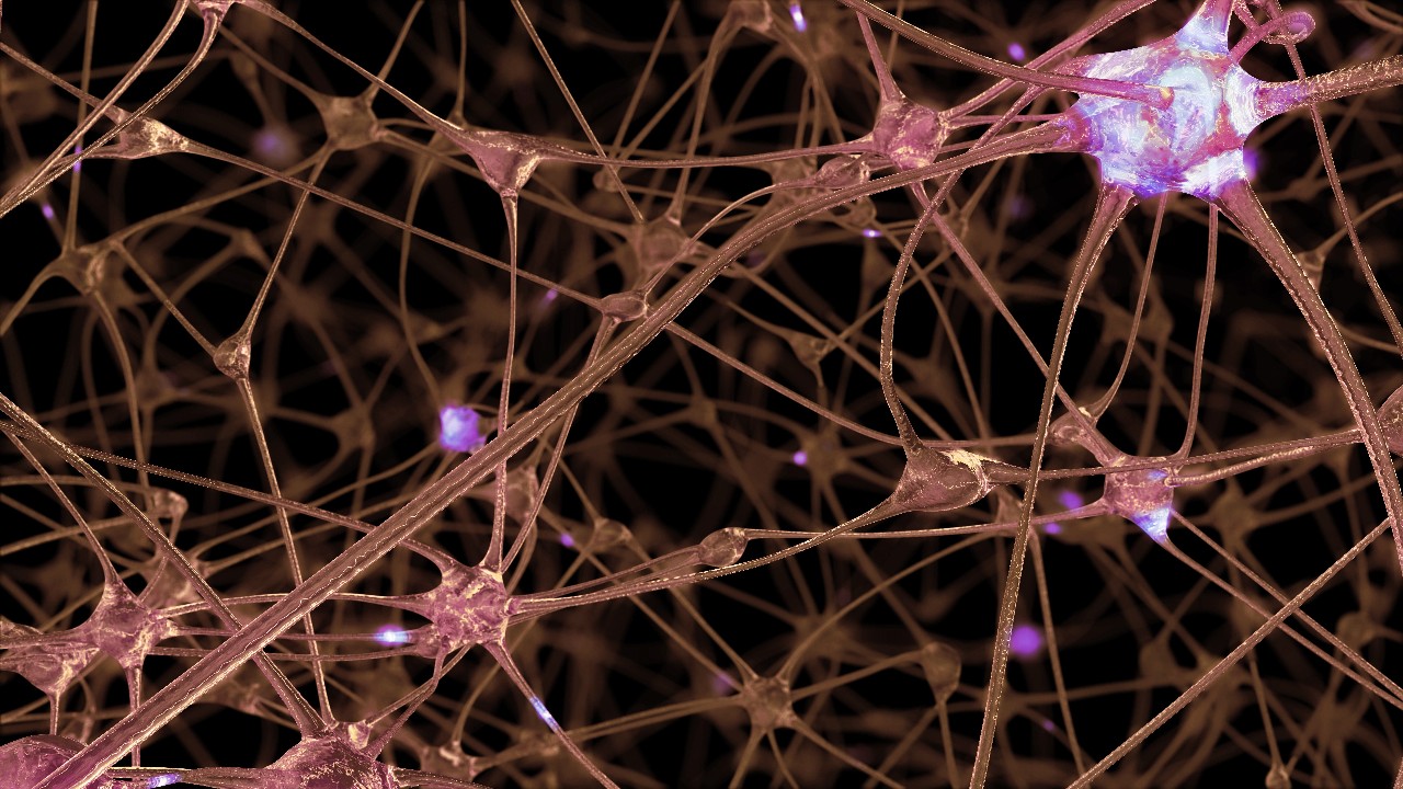 3D rendering of a network of neuron cells and synapses through which electrical impulses and discharges pass during the transmission of information inside the human brain