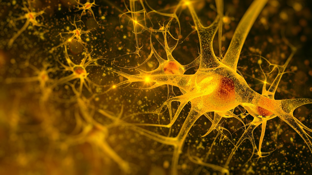 digital illustration neurons